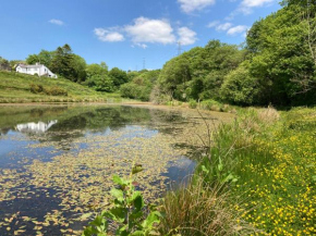 The Wrens Nest
